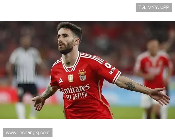 本菲卡球迷赴美观赛遭拒签 损失近 8000 元梦碎世俱杯(3)